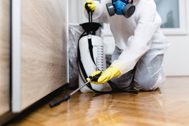 Best Wasp Removal Services  in Clinton, IA