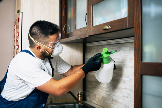 Best Wasp Removal Services  in Clinton, IA