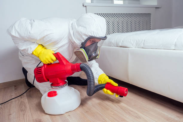 Best Flea Control Services  in Clinton, IA