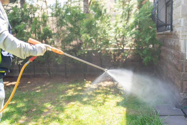 Best Residential Pest Control  in Clinton, IA