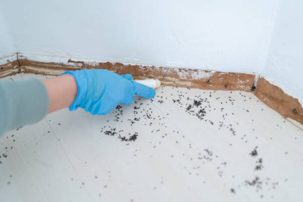 Best Mosquito Control Services  in Clinton, IA