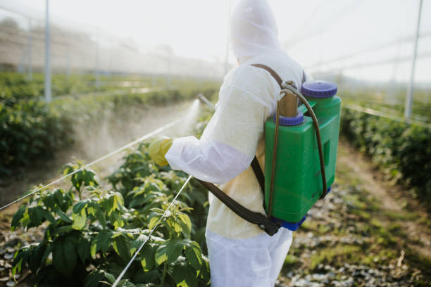  Clinton, IA Pest Control Pros